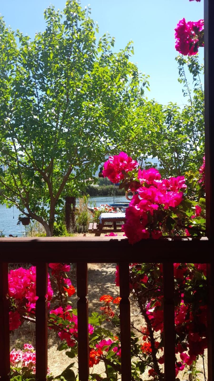 Caunos Bungalow Muğla Esterno foto